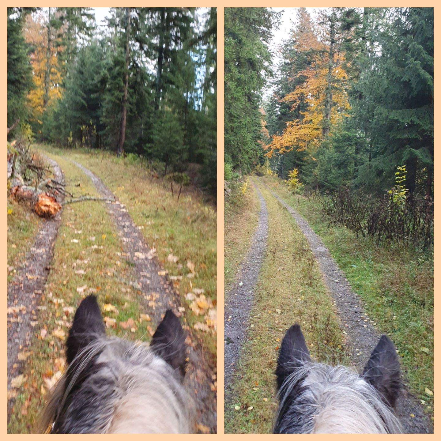 2023 11 November 606